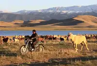 新疆哈密天山之夏狩猎场