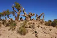 新疆哈密亚尔丹风景旅游区