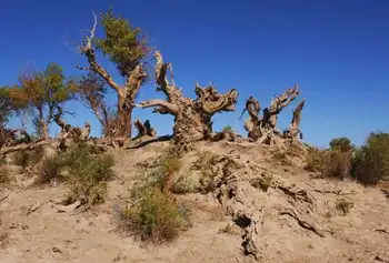 新疆哈密亚尔丹风景旅游区,图三