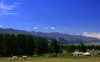 新疆哈密白石头,图三