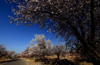 新疆哈密庙尔沟景区,图二