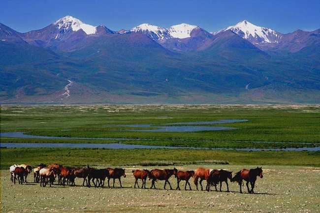 新疆哈密巴里坤大草原,图一