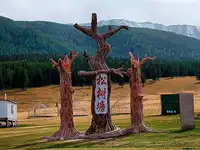 新疆哈密松树塘