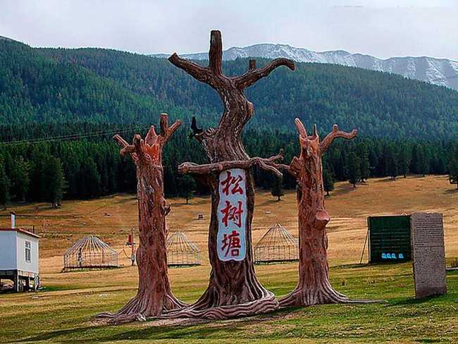 新疆哈密松树塘,图一