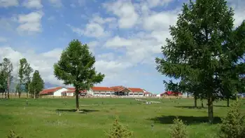 新疆哈密松树塘,图三