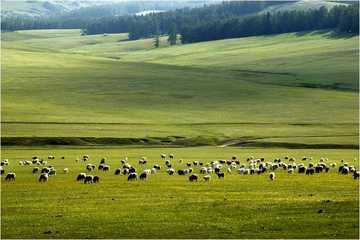 新疆哈密巴里坤大草原,图二