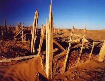 新疆和田尼雅遗址,图一