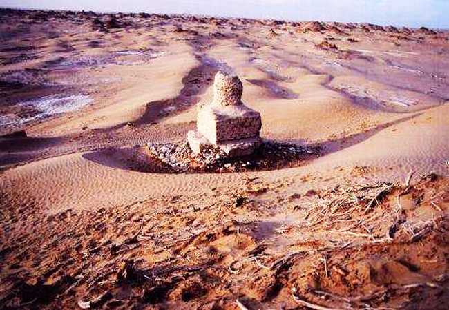 新疆和田尼雅遗址,图二