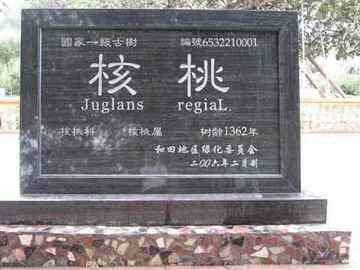 和田概况,图四