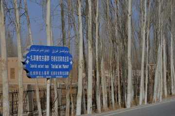 新疆库尔勒扎滚鲁克古墓群,图二