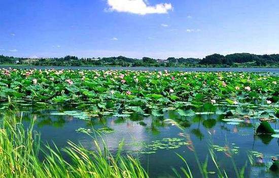 新疆库尔勒巴州莲花湖风景旅游区,图一