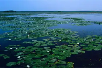 新疆库尔勒巴州博湖县阿洪口旅游风景区,图二