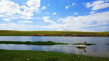 新疆库尔勒巴音布鲁克天鹅湖,图三