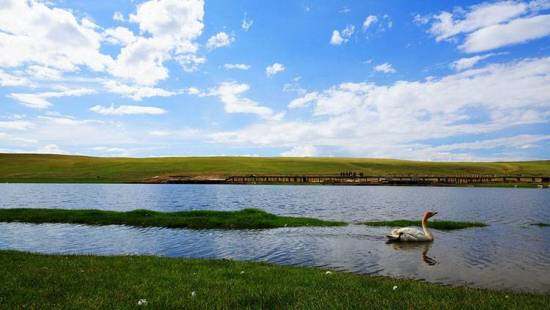 新疆库尔勒巴音布鲁克天鹅湖,图三