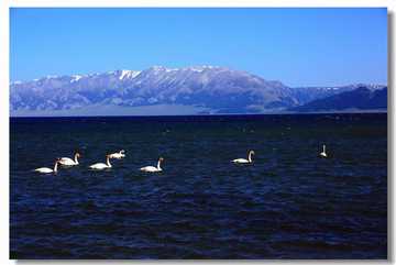 新疆巴音布鲁克草原,图三