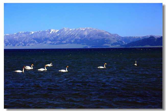 新疆巴音布鲁克草原,图三