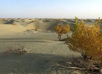 新疆库尔勒塔克拉玛干沙漠,图二