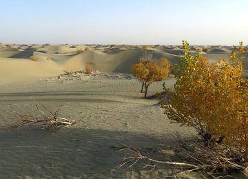 新疆库尔勒塔克拉玛干沙漠,图二
