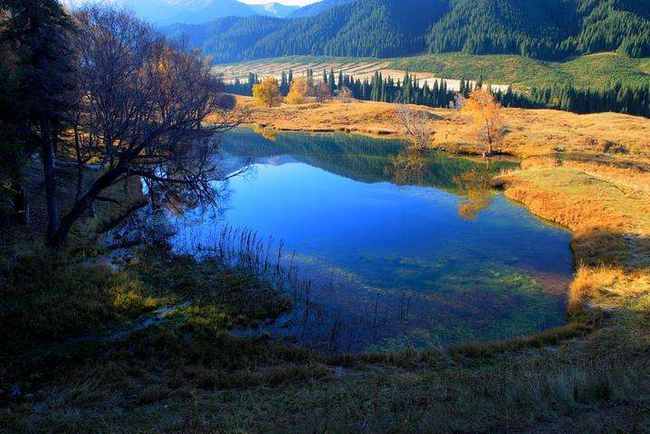 新疆库尔勒巩乃斯森林公园,图一