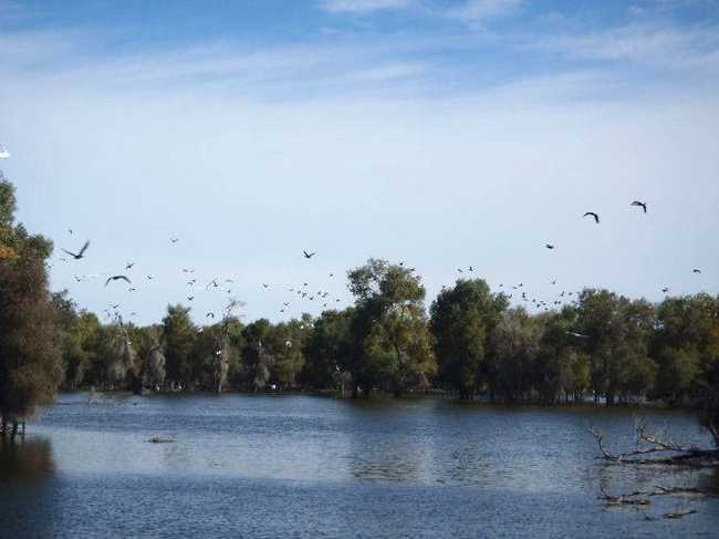 新疆库尔勒新疆维吾尔自治区巴音郭楞蒙古自治州,图二