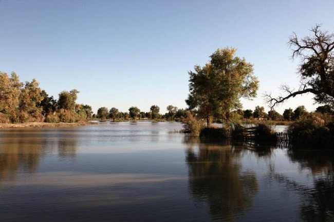 新疆库尔勒鲸鱼湖,图二