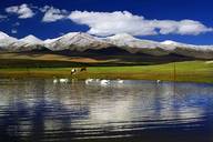 新疆庫爾勒巴音布魯克天鵝湖