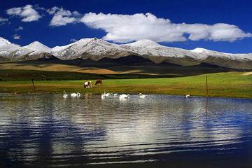 新疆库尔勒巴音布鲁克天鹅湖,图二