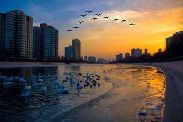 新疆库尔勒孔雀河,图三