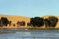 新疆库尔勒鲸鱼湖