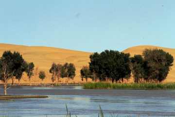 新疆库尔勒鲸鱼湖,图一