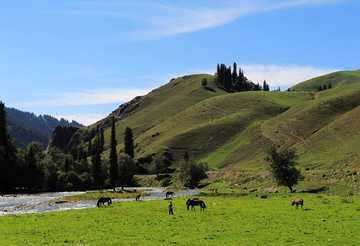 新疆库尔勒巩乃斯草原,图三