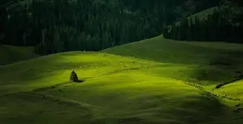 新疆库尔勒巩乃斯草原,图一