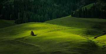 新疆库尔勒巩乃斯草原,图一