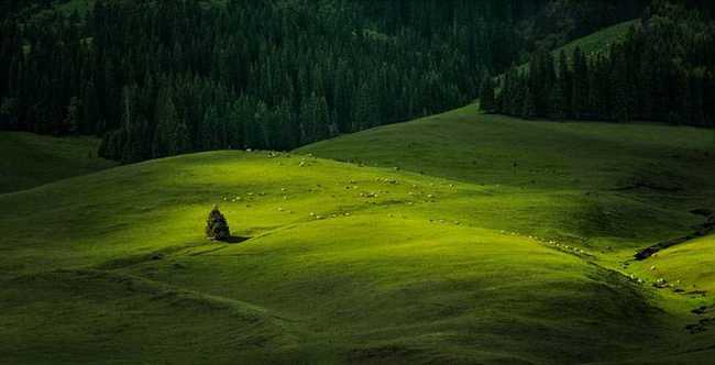 新疆库尔勒巩乃斯草原,图一