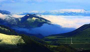 新疆库尔勒巩乃斯森林公园,图三