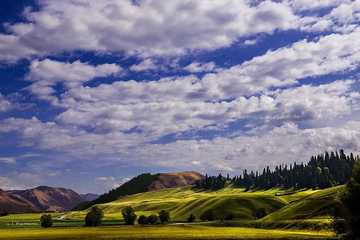 新疆库尔勒巩乃斯草原,图二
