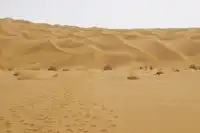 新疆库尔勒塔克拉玛干沙漠