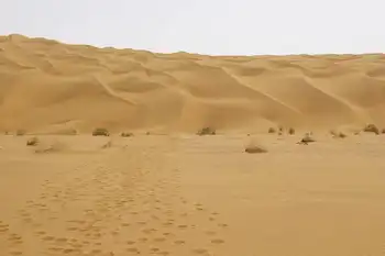 新疆库尔勒塔克拉玛干沙漠,图一