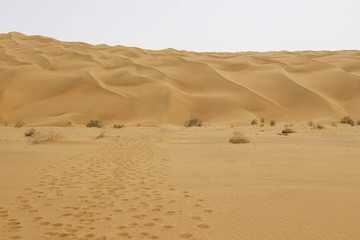 新疆库尔勒塔克拉玛干沙漠,图一