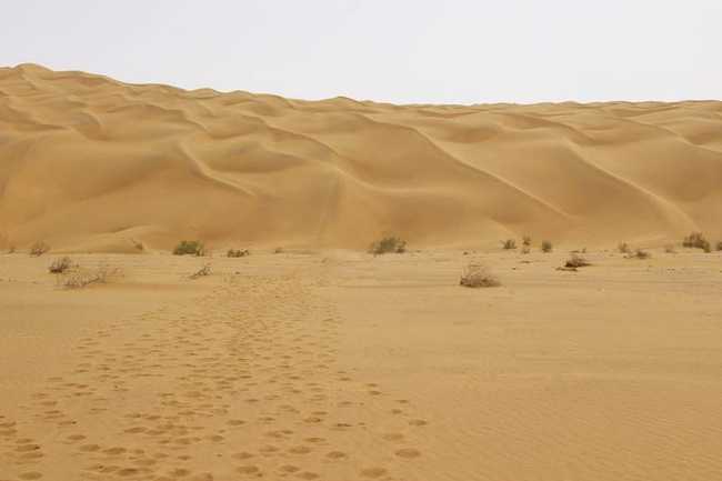 新疆库尔勒塔克拉玛干沙漠,图一