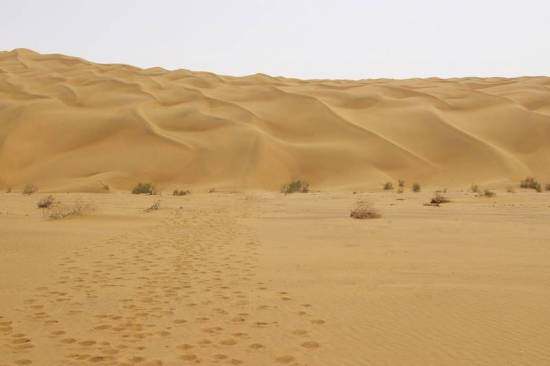 新疆库尔勒塔克拉玛干沙漠,图一