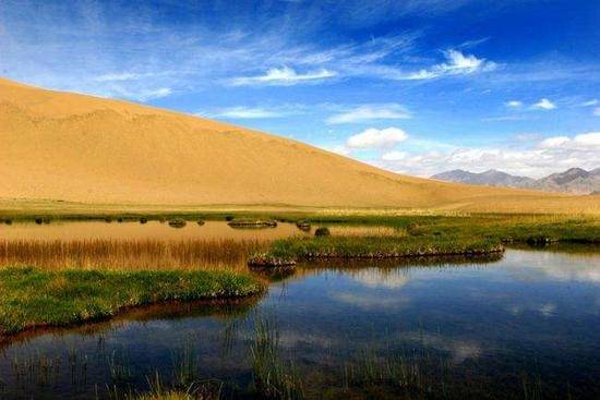 新疆库尔勒阿尔金山自然保护区,图一