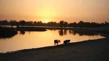 新疆库尔勒罗布泊,图三