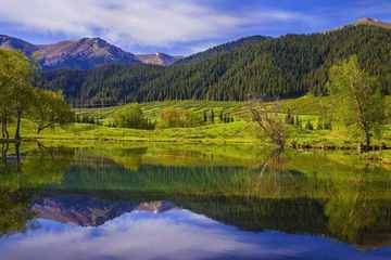 新疆库尔勒巩乃斯森林公园,图二