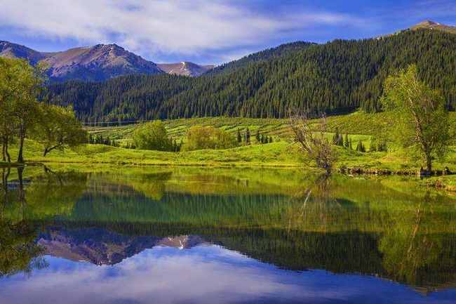 新疆库尔勒巩乃斯森林公园,图二