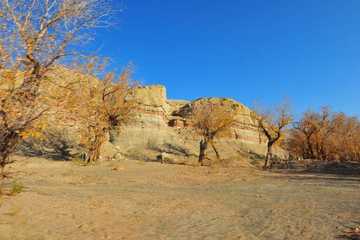 新疆克拉玛依白杨河大峡谷,图三