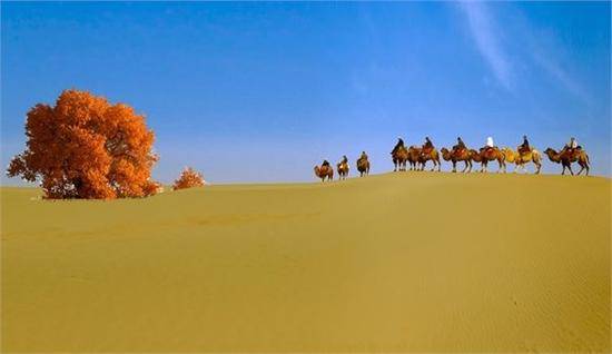 新疆喀什达瓦昆沙漠旅游风景区,图一