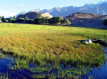 新疆喀什公主堡景区,图一