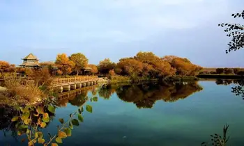 新疆喀什地区泽普县金湖杨国家森林公园,图一