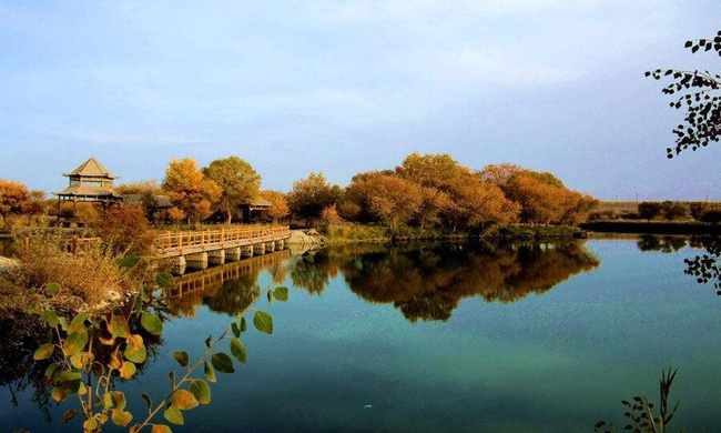 新疆喀什地區(qū)澤普縣金湖楊國家森林公園,圖一